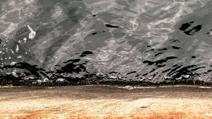 イガイ（カラス貝）が付いた岸壁